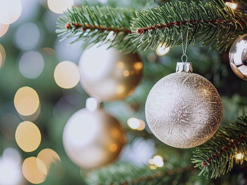 Startsidan - Frisk & Fri.